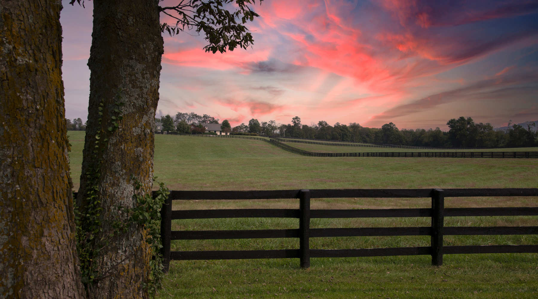 kentucky home search online