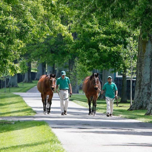 western kentucky realtors